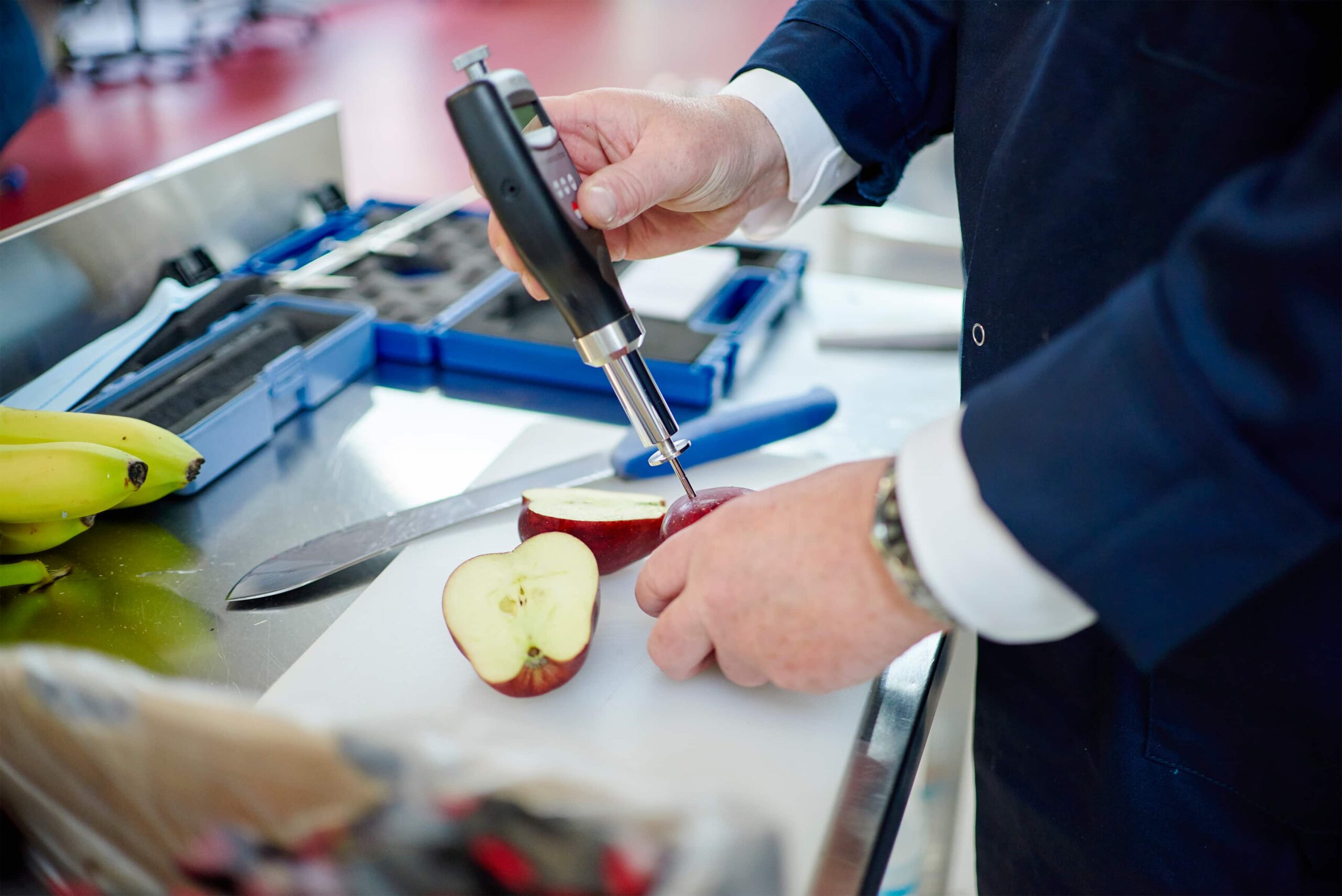 Qualitätskontrolle eines Apfel bei Fruitful Office