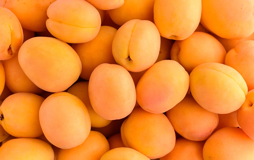 Aprikosen – süßes Steinobst voller Vitamine