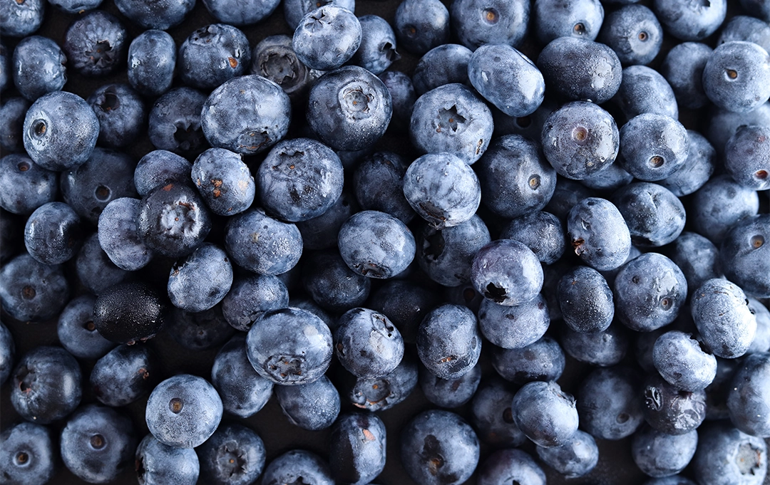Blaue Heidelbeeren – antioxidantienreiche Beeren für Ihre Mitarbeiter im Büro