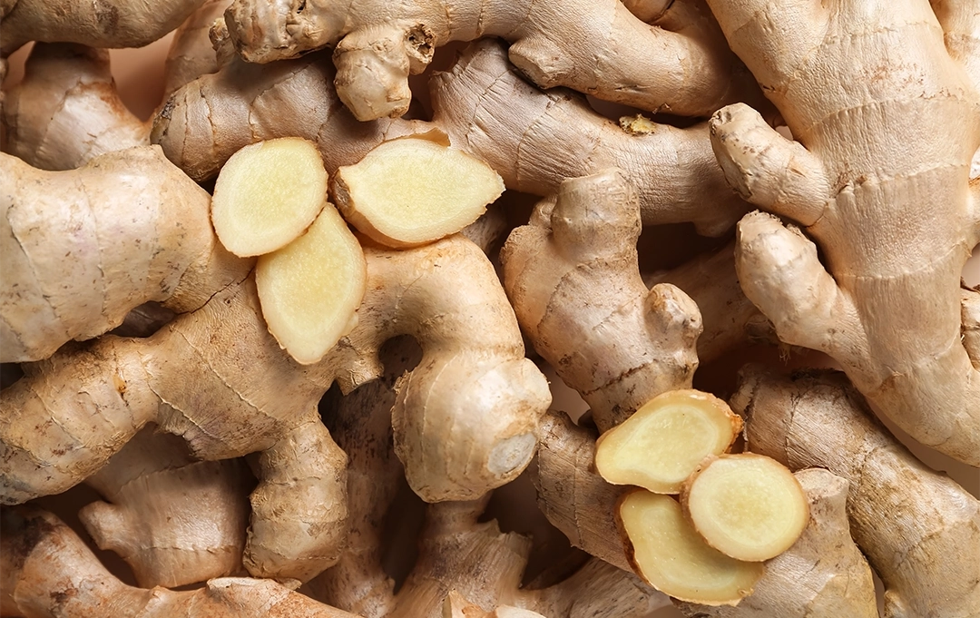 Frischer Ingwer – aromatische Wurzel voller Schärfe, Immunbooster für Ihr Büro