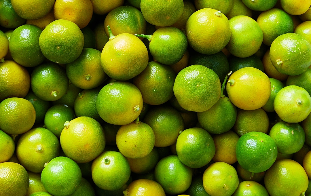 Limetten – frische grüne Zitrusfrüchte voller Vitamin C