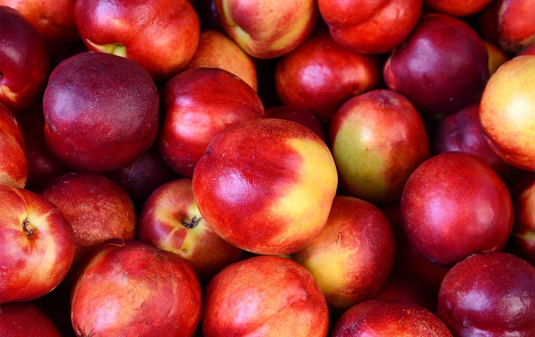 Reife Nektarinen – saftiges Steinobst für Obstkörbe