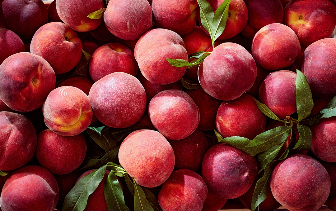 Rote Pflaumen – aromatische Steinfrüchte im Obstkorb