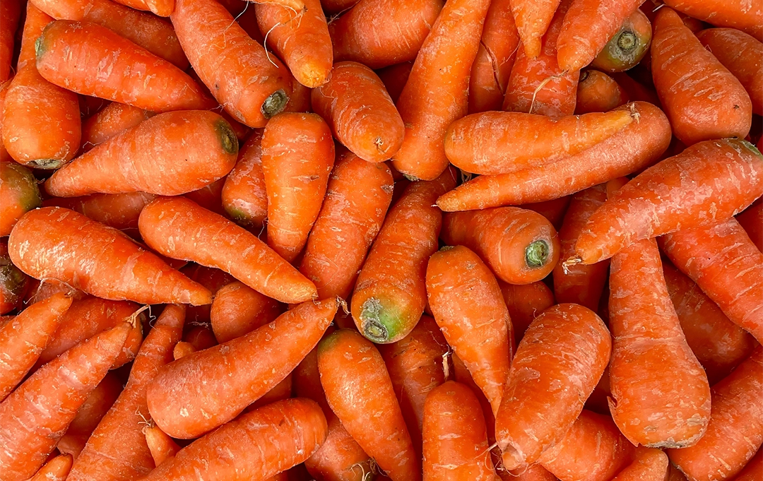 Frische Karotten – knackiges Gemüse für gesunde Ernährung im Büro