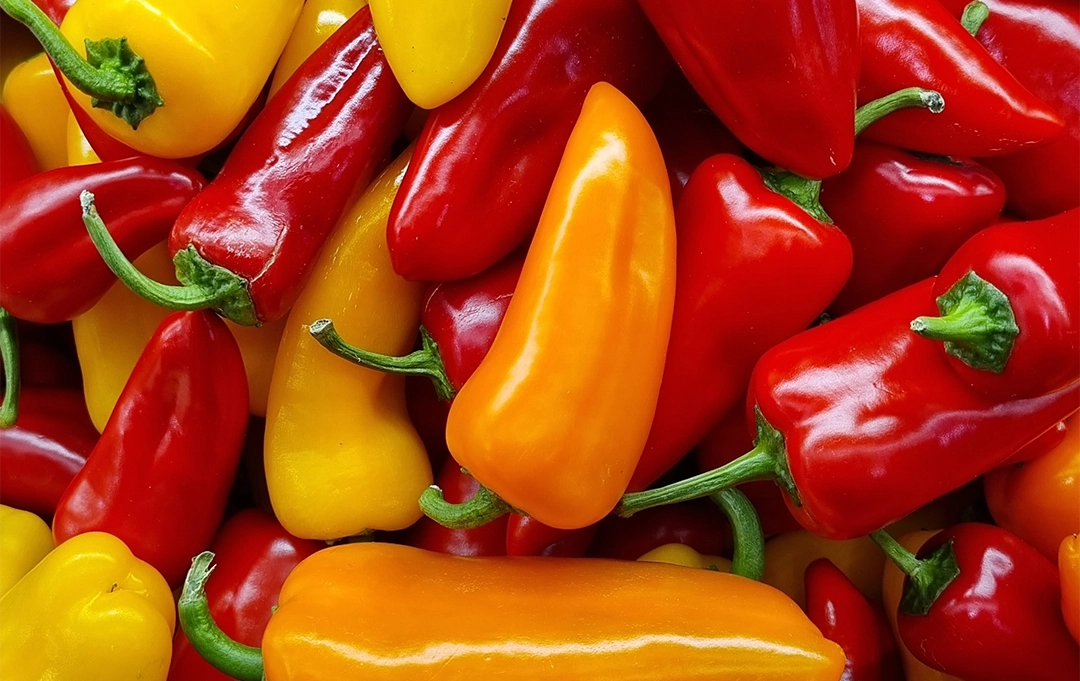 Bunte Mini-Paprika – frisches Gemüse für gesunde Snacks im Büro