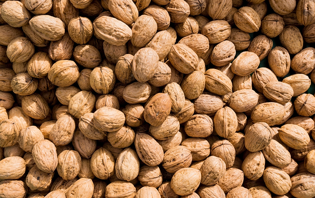 Walnüsse in Schale – frische Nüsse für gesunden Büro-Snack