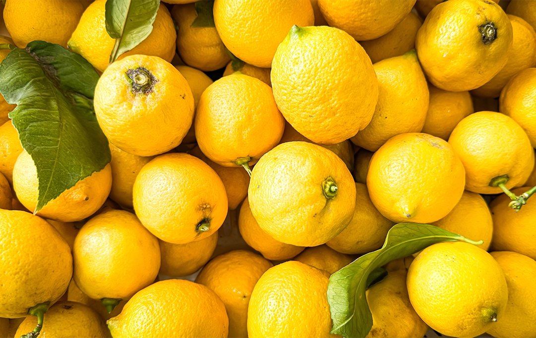 Zitronen – frische gelbe Zitrusfrüchte voller Vitamin C